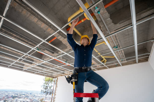 Best Commercial Plumbing Services  in Belle Rose, LA